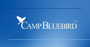 Logo for Camp Bluebird. Contains text and bird in the logo.